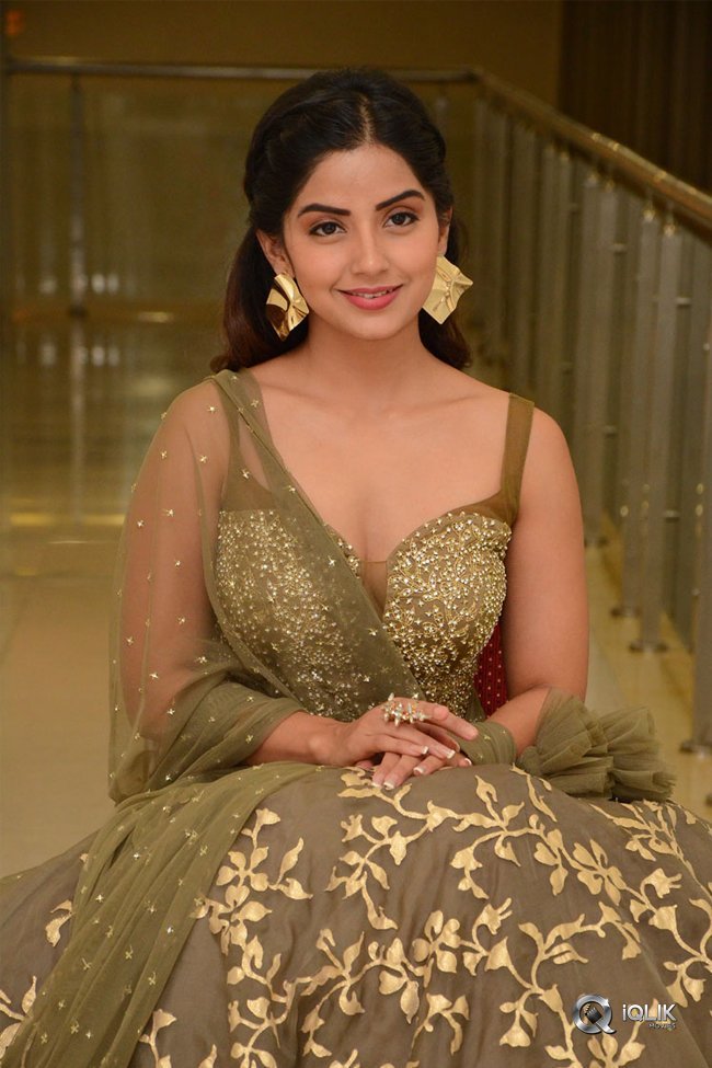 Kashmira-at-Nartanasala-Pre-Release-Event